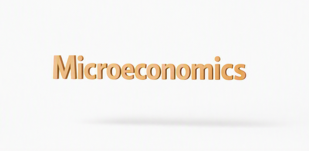 Online Microeconomics tutor